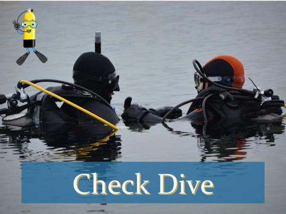 Check Dive