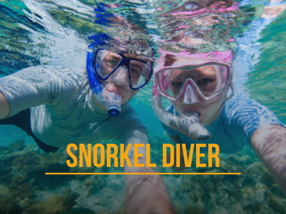 Snorkel Experience