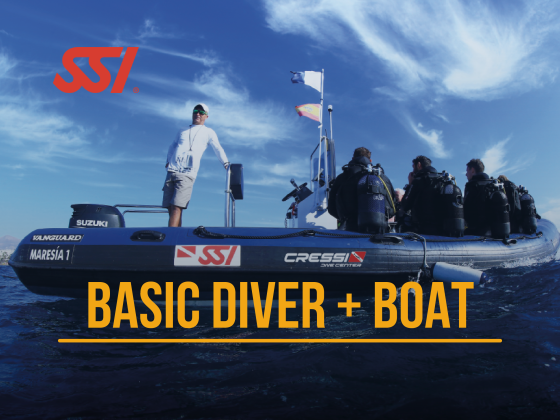 Basic Boat Diver