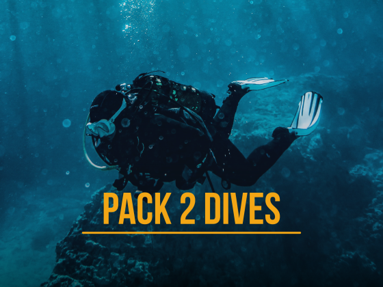 Pack 2 dives