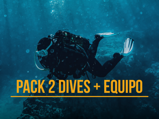 Pack 2 dives + equipment