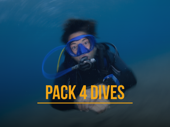 Pack 4 dives
