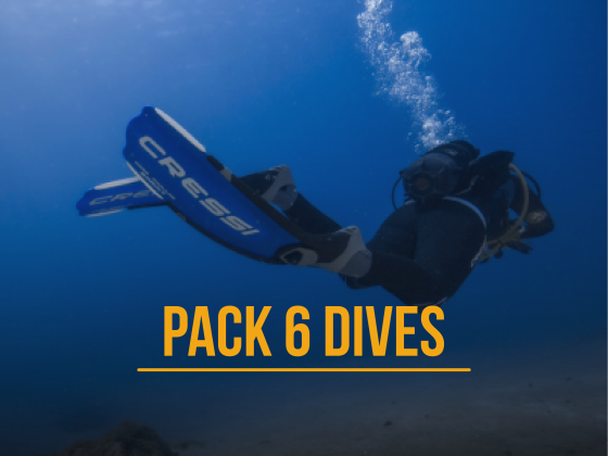 Pack 6 dives