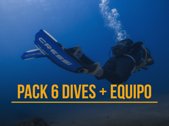 Pack 6 dives + equipment