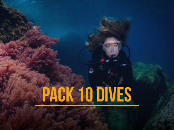 Pack 10 dives