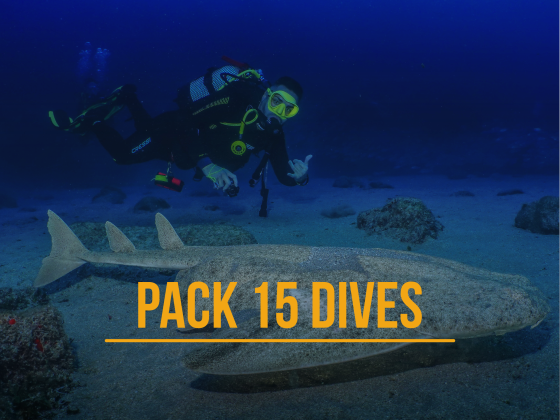 Pack 15 dives