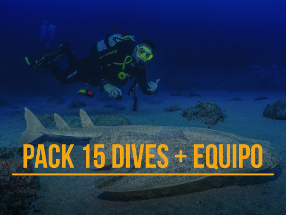 Pack 15 dives + equipment