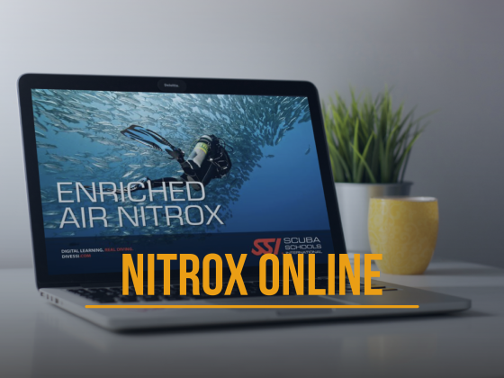 Curso Nitrox SSI - Online Completo