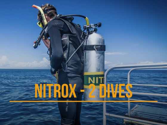 Curso Nitrox SSI - 2 dives