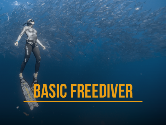 Basic Freediver