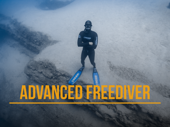 Advanced Freediver
