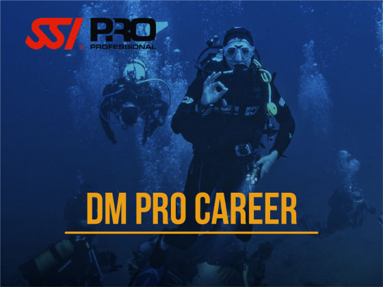 Divemaster PRO Career
