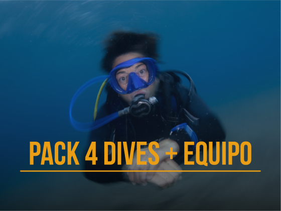 Pack 4 dives + equipment